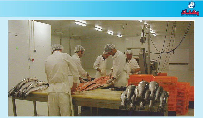 شرکت بهناد صنعت آریانا